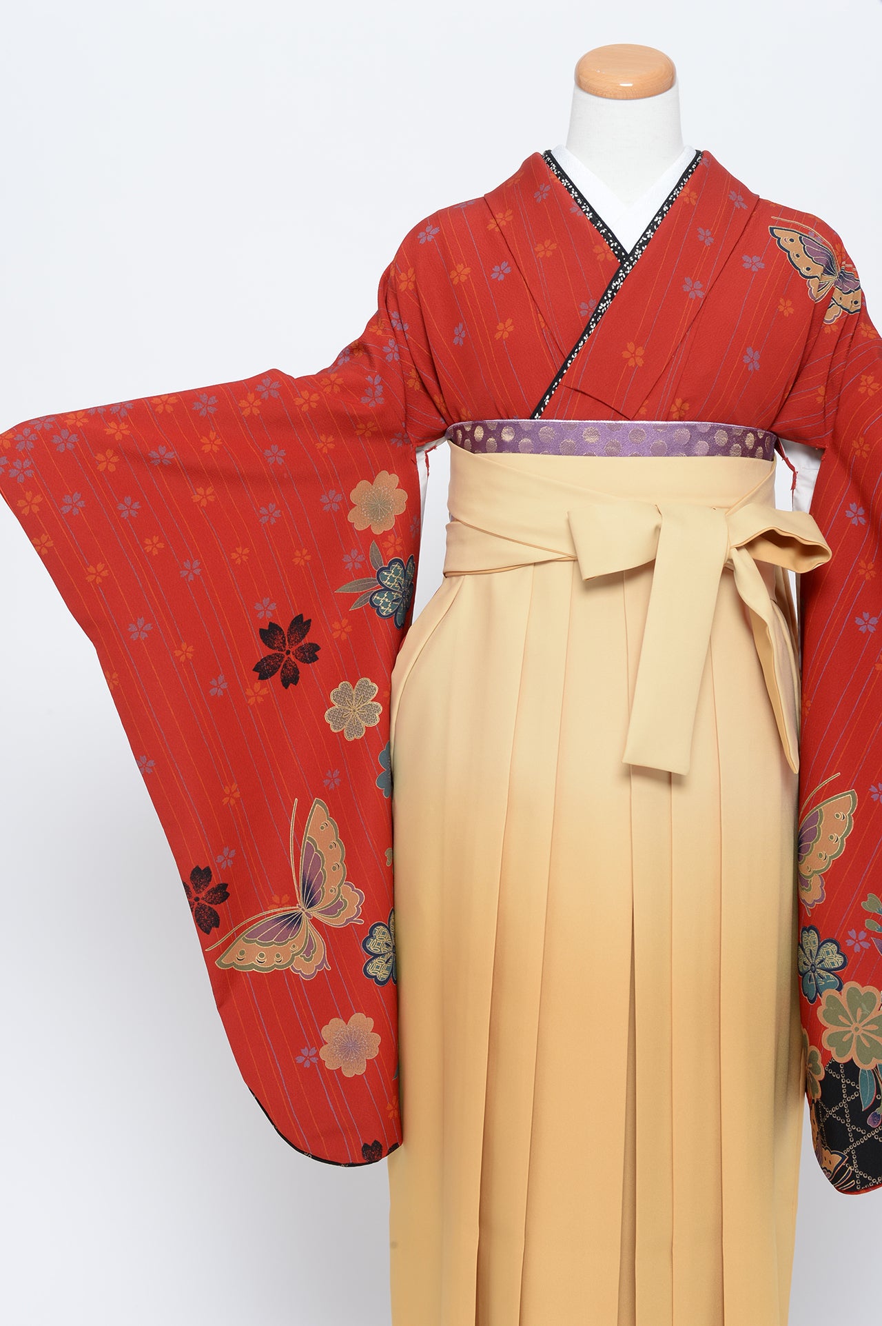 卒業袴のレンタル衣装 商品詳細ページ【古典、個性的】【卒業袴195-h117】