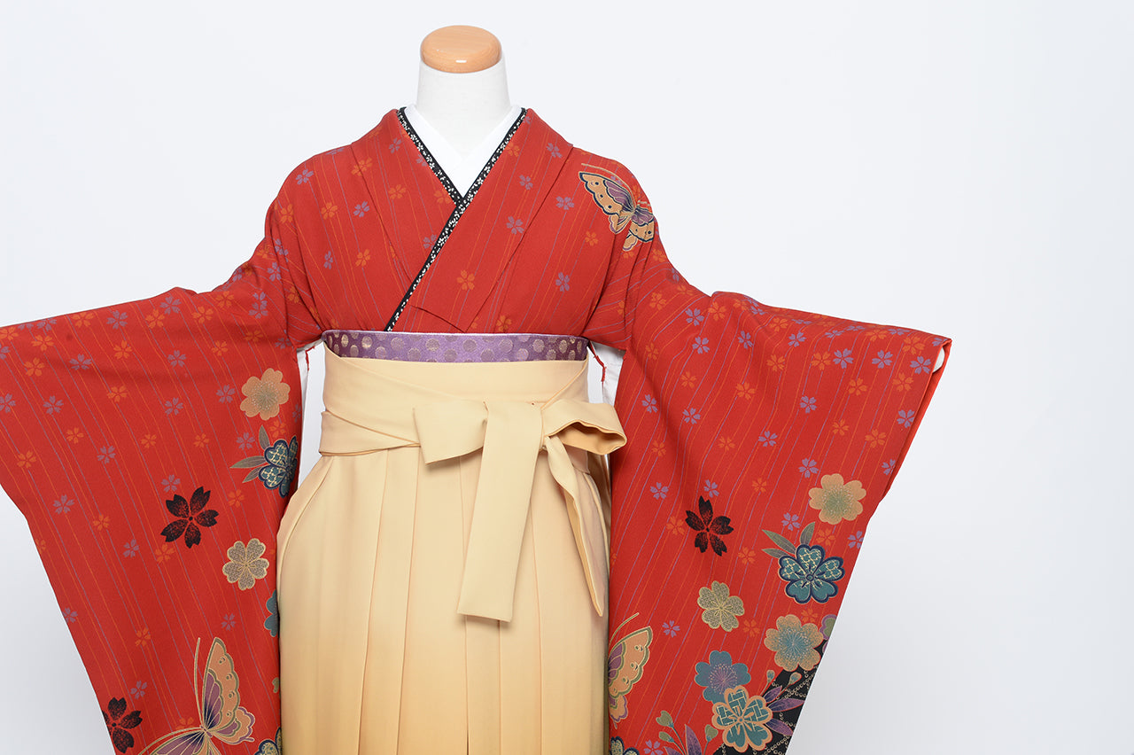 卒業袴のレンタル衣装 商品詳細ページ【古典、個性的】【卒業袴195-h117】